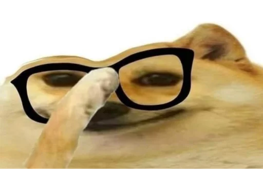 eyewear accessory goggles