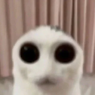 Стикер бля - 1