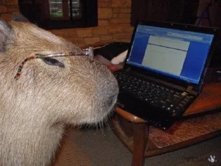 Стикер бля - 7