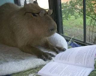 Стикер бля - 8