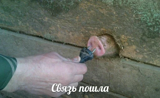 Стикер Вы в пизде @leeervyx :: @fStikBot - 4