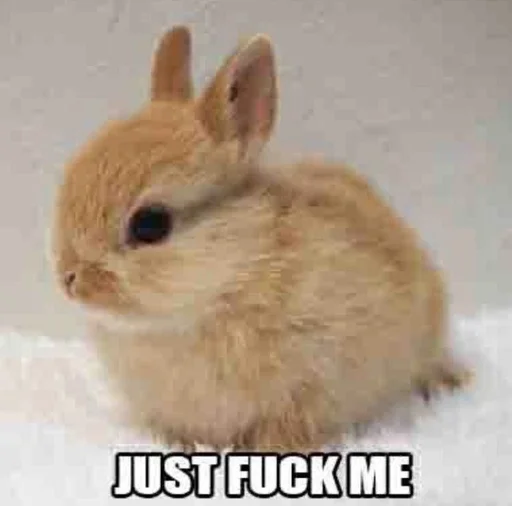 Стикер piska2007_by_fStikBot - 1