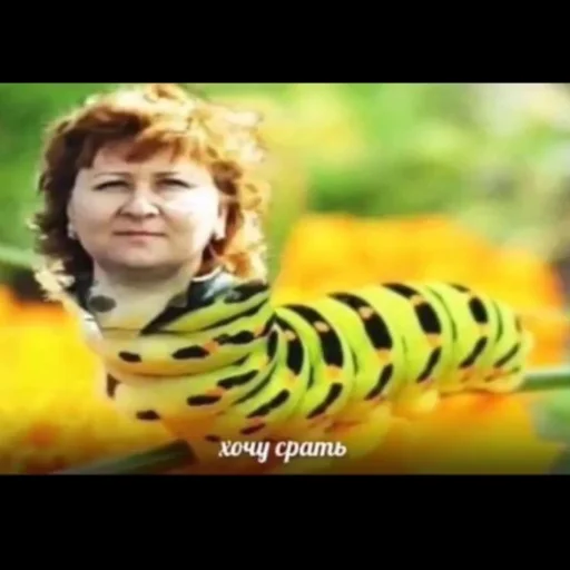 Человек животное улыбаться