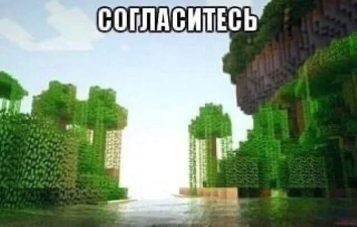 СМС дерево растение