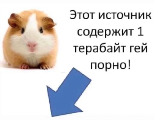 животное млекопитающее СМС