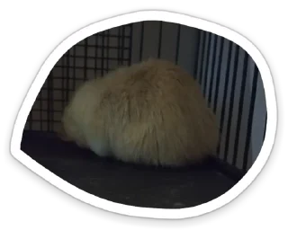 Sticker Писька - 4