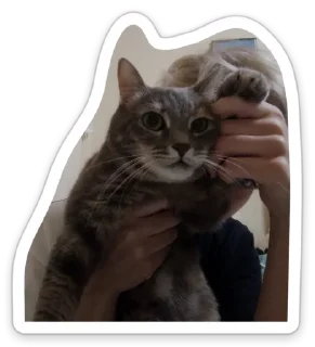 Sticker Писька - 7