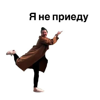 Sticker Shrekisskidu - 0