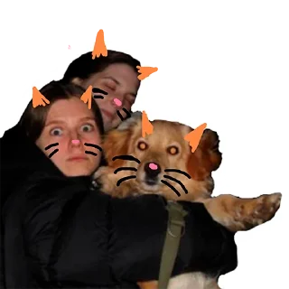 Sticker Shrekisskidu - 3