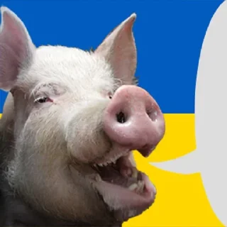 Sticker Боевые картиночки @piskoebys2 - 4