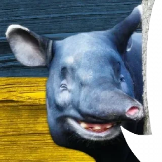 Sticker Боевые картиночки @piskoebys2 - 2