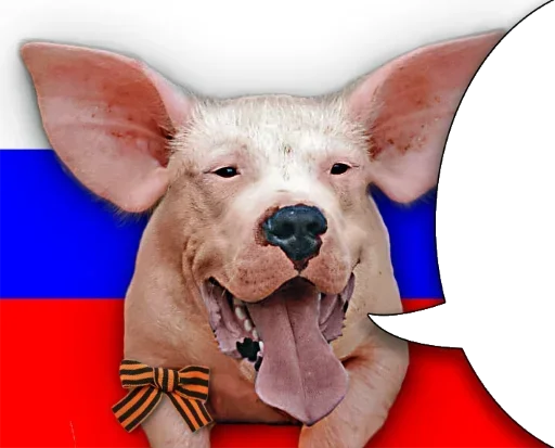 Sticker piskoebyss - 1