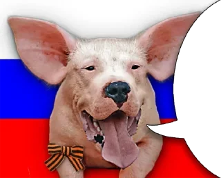 Стикер Боевые картиночки @xoxloebys - 5