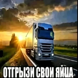 Стикер писсуары - 7