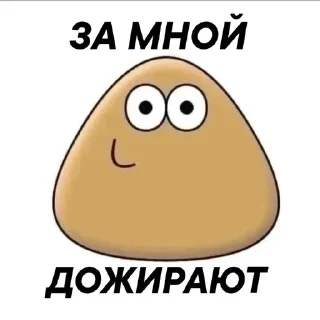 Стикер писсуары - 8