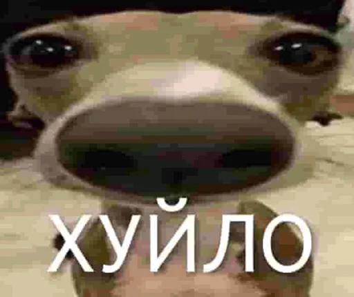 Стикер матка курва - 9