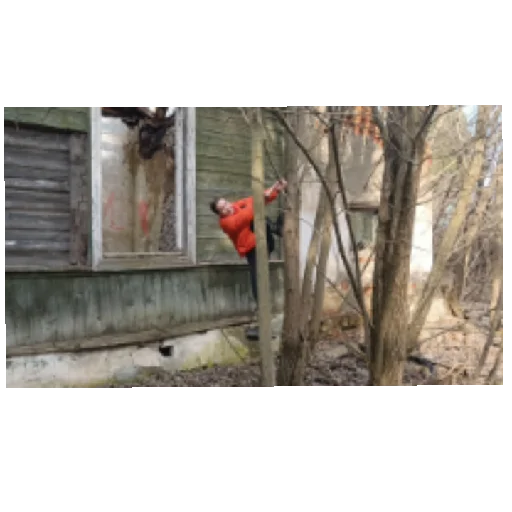 Стикер pitichkichkrr - 1