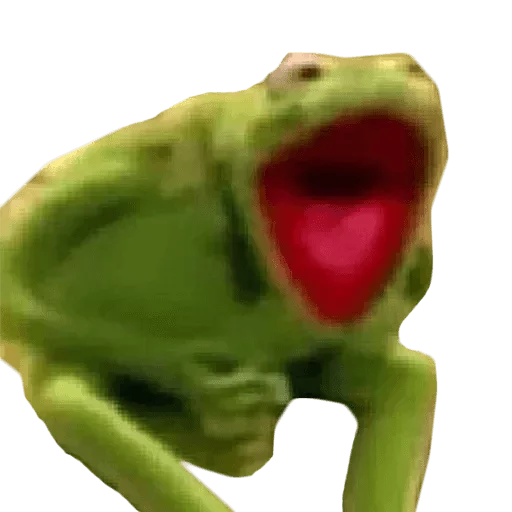 лягушка животное