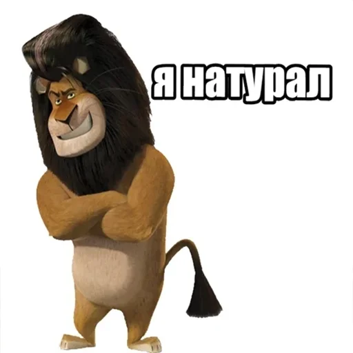 млекопитающее медведь фигура животного