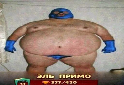 сумо спорт мышца