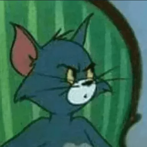 СМС кошка мультфильм