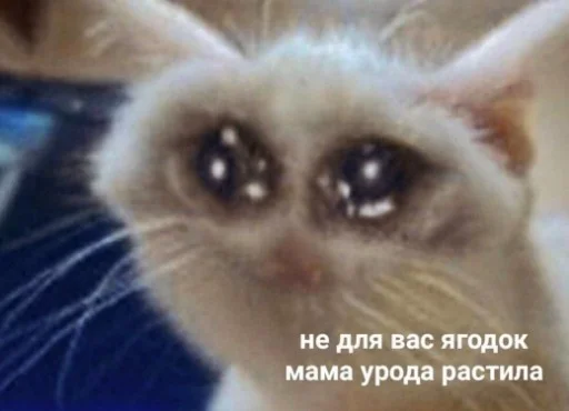 Sticker че за хуйня - 8