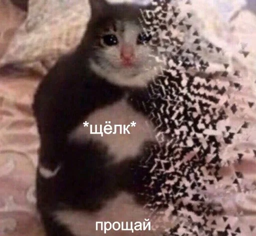 Sticker че за хуйня - 3