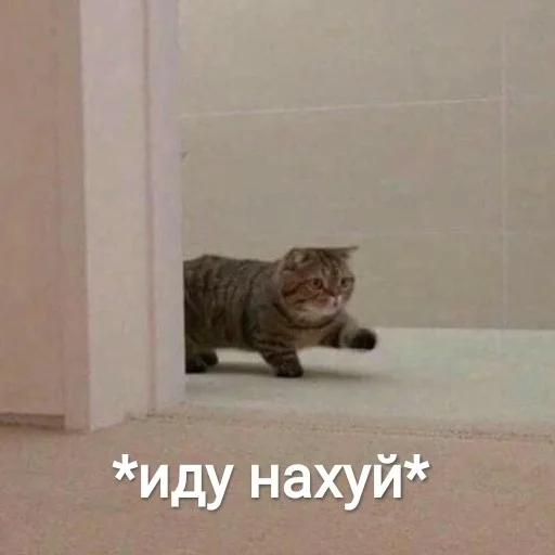 Sticker че за хуйня - 1