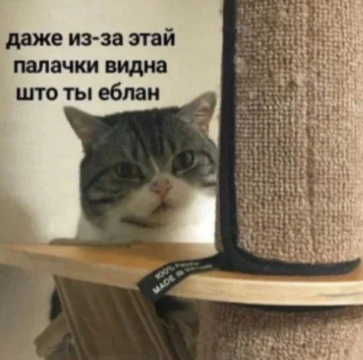 Sticker pizdaosomg_by_fStikBot - 1