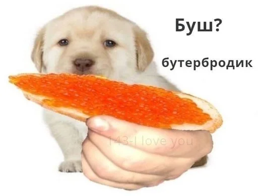 Стикер что-то на татарском :: @fStikBot - 11