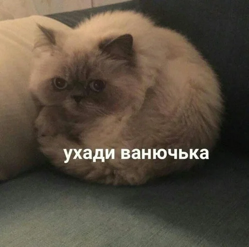 Стикер что-то на татарском :: @fStikBot - 7