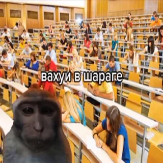 Sticker пиздарез - 5