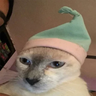 Sticker пиздарез - 4