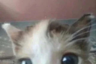 Sticker рина🍊 - 9