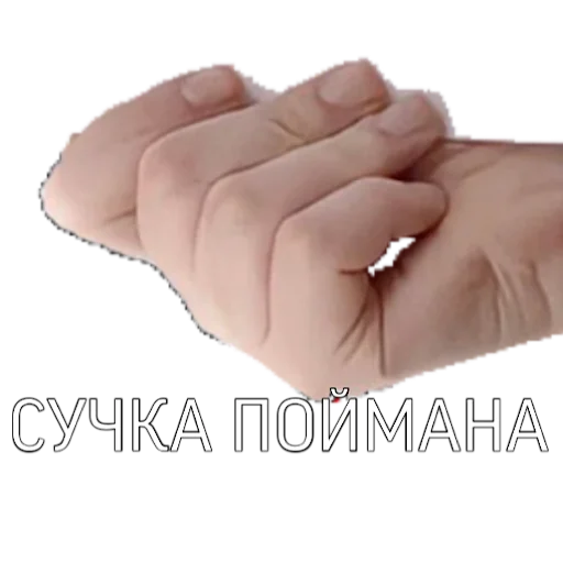 Sticker ?????????? - 7