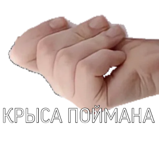 Sticker ?????????? - 6