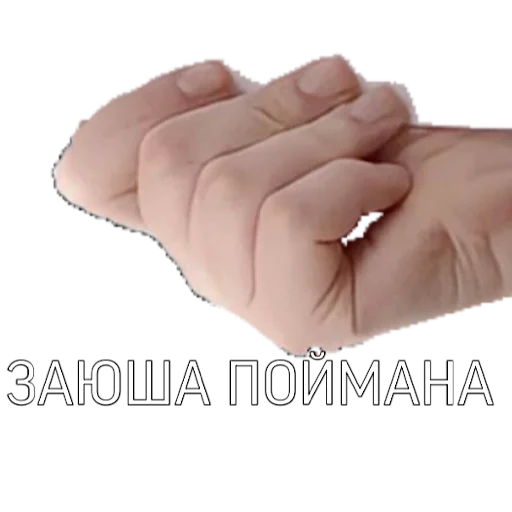 Sticker ?????????? - 5