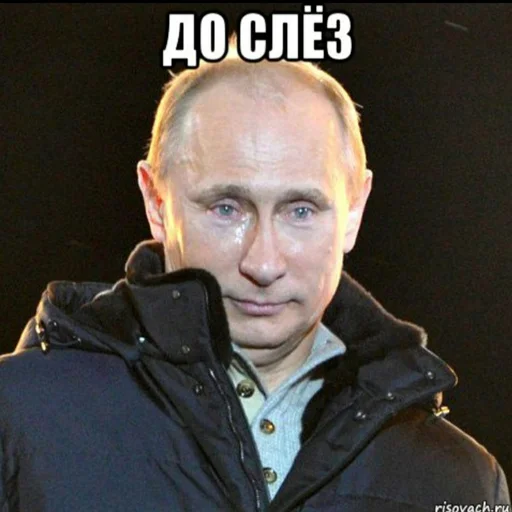 человеческое лицо одежда Человек