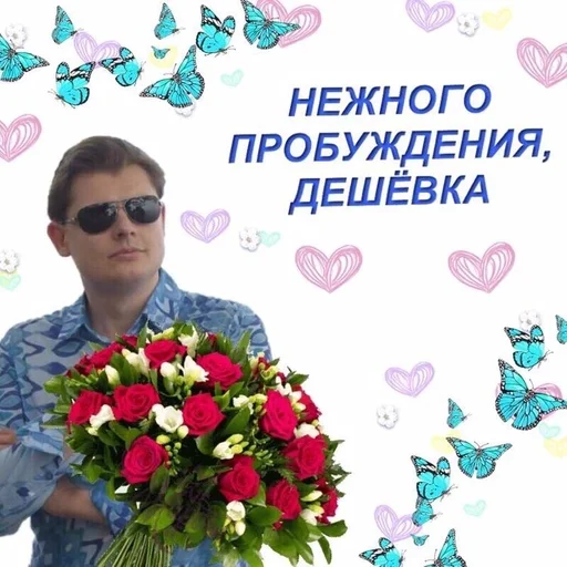 clothing floral design butterfly