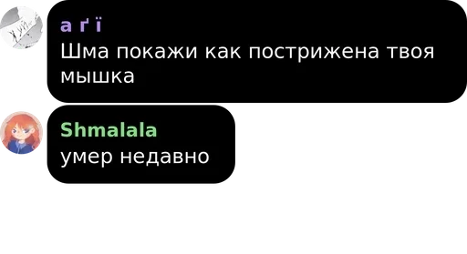 text screenshot moon