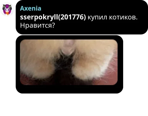 text animal screenshot