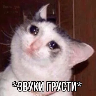 Sticker похуй - 2