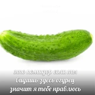 Sticker похуй - 10