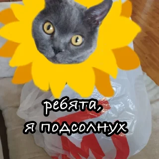 Стикер свэг - 1