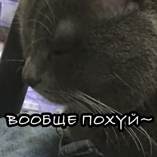 Стикер свэг - 7