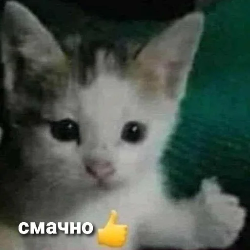 Стикер пздц - 10