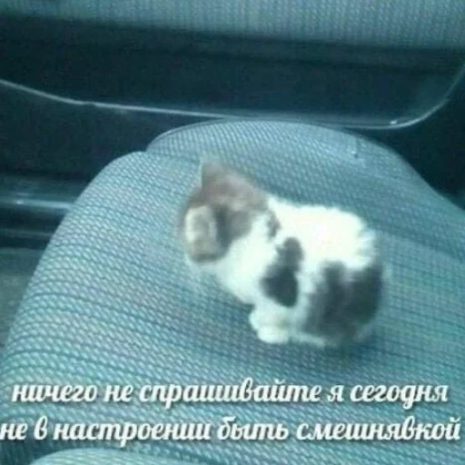 Стикер пздц - 7