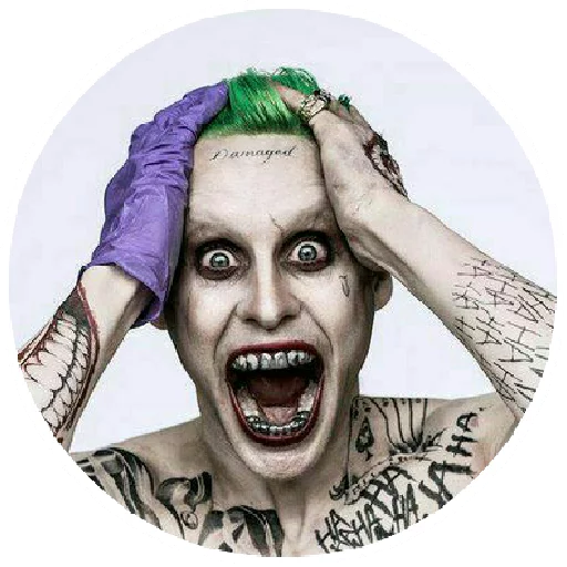 human face tooth jaw