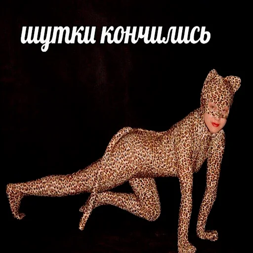 mammal animal leopard