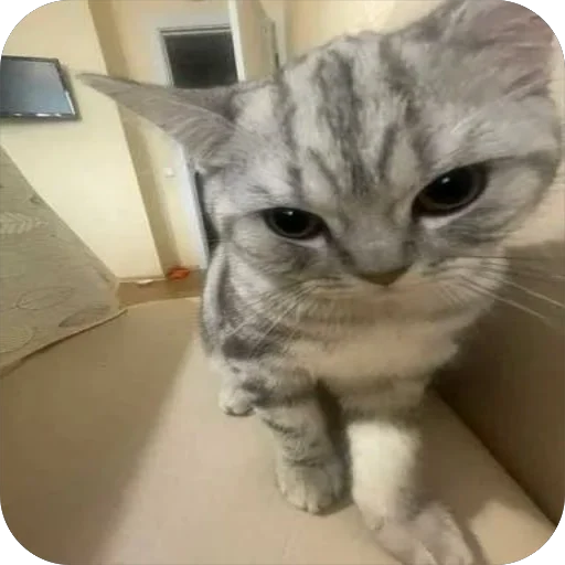 Моти ➡️ @EmojiRuBot - 